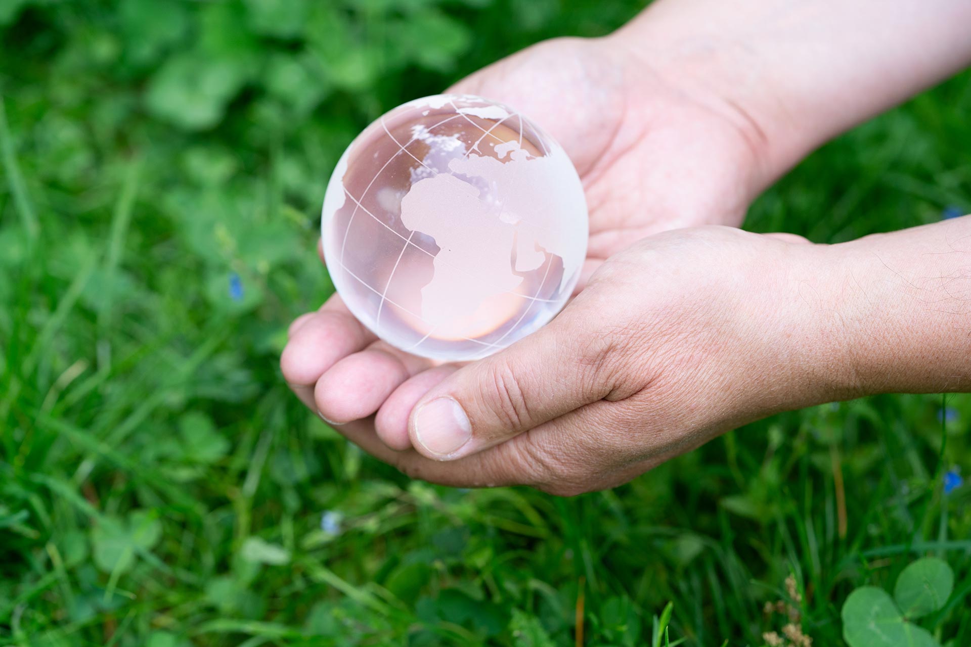 earth protection and sustainable ecology development
